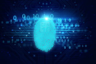 身体密码再升级 解锁未来身份认证新纪元——汗液识别技术开发与应用咨询